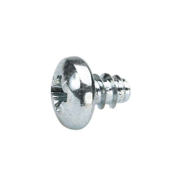 Screws (100 pcs.)